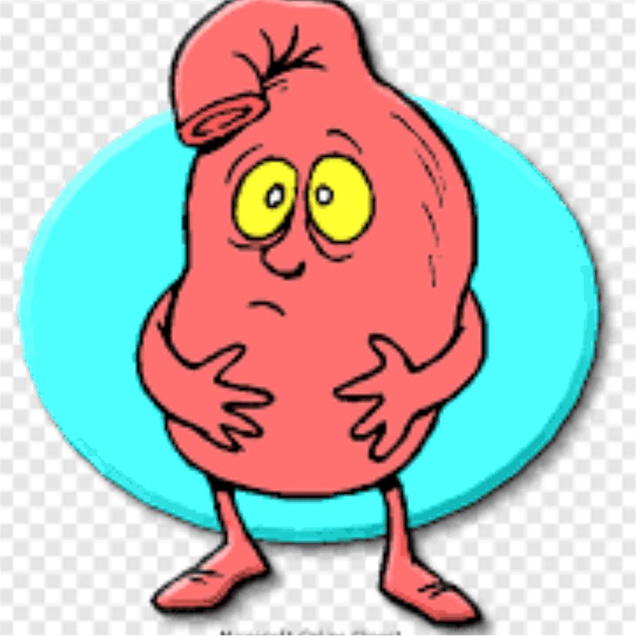 Functional Dyspepsia